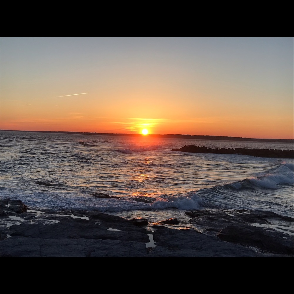 Meet your Posher, Tess